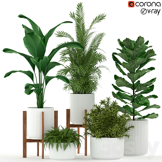 Plants collection 194 3DSMax File - thumbnail 1