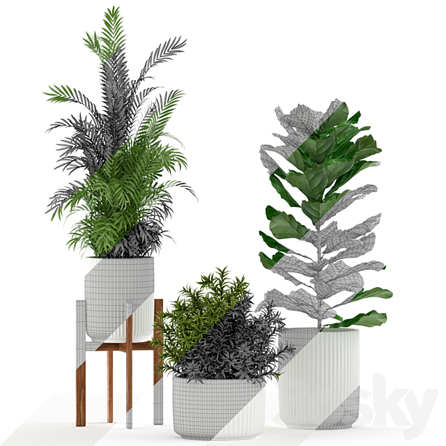 Plants collection 194 3DSMax File - thumbnail 2