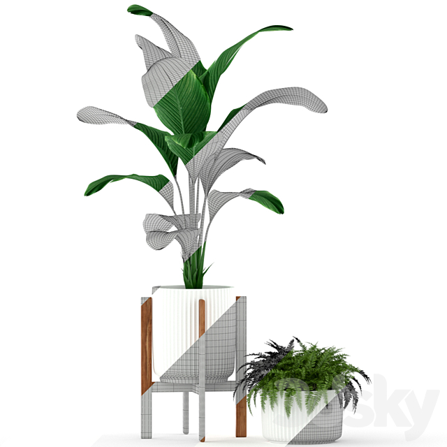 Plants collection 194 3DSMax File - thumbnail 3