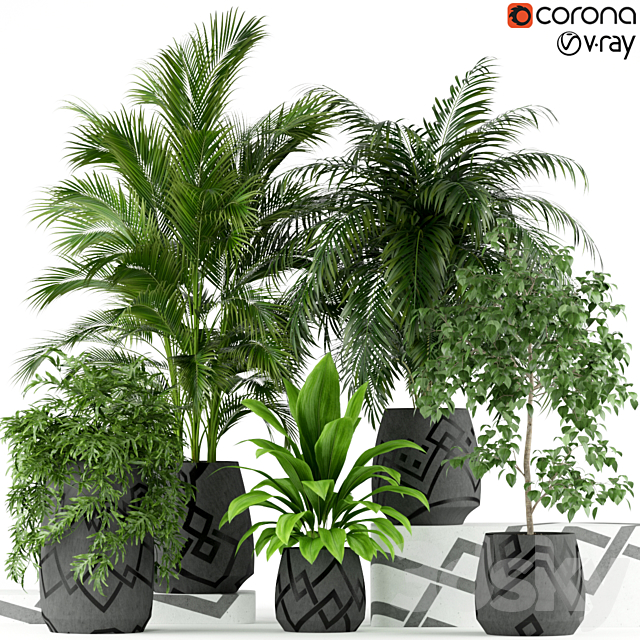 Plants collection 195 3DSMax File - thumbnail 1