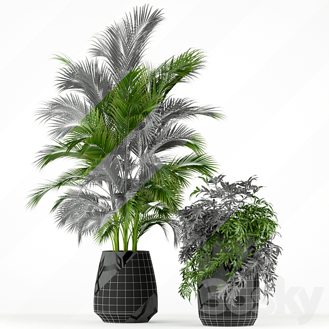 Plants collection 195 3DSMax File - thumbnail 2