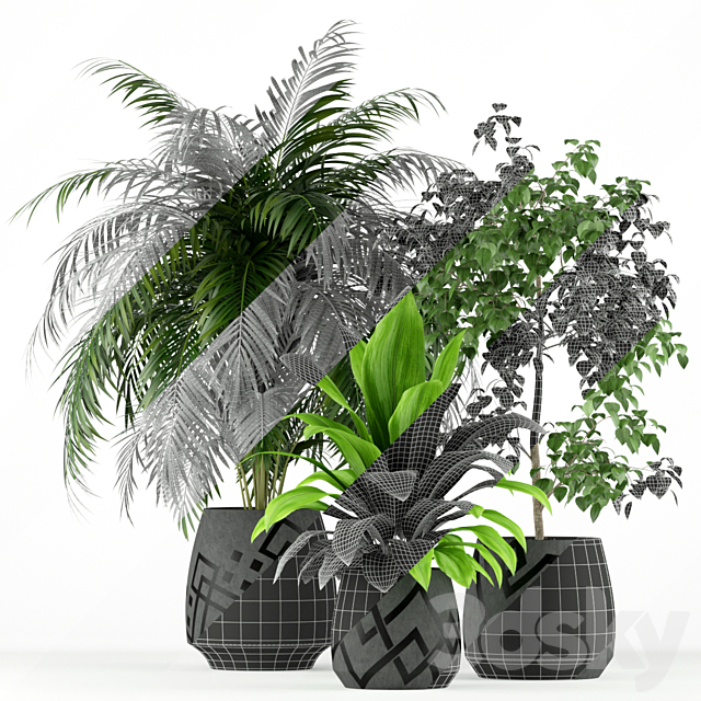 Plants collection 195 3DSMax File - thumbnail 3