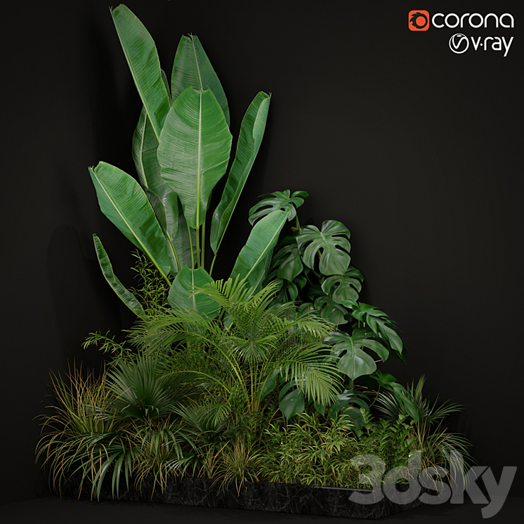 Plants collection 196 3DS Max - thumbnail 1