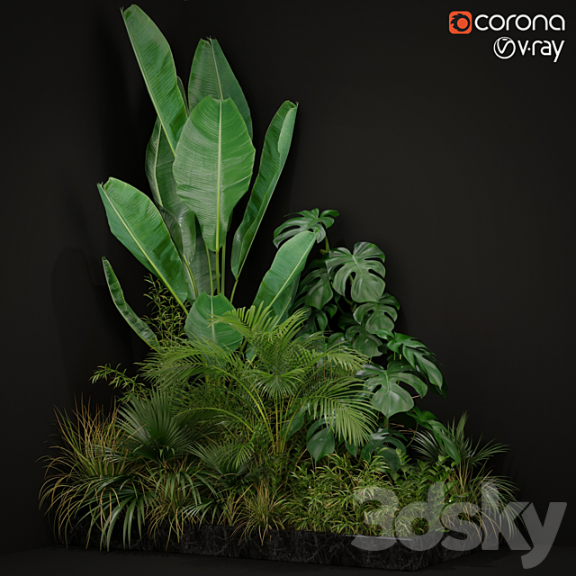 Plants collection 196 3DSMax File - thumbnail 1