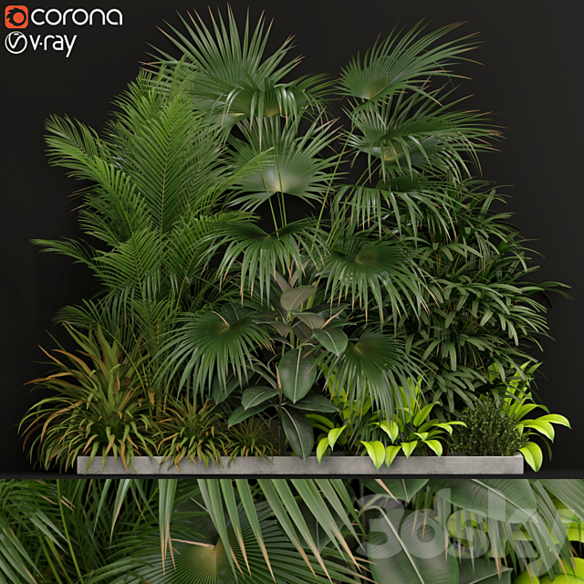 Plants collection 197 3ds Max - thumbnail 1