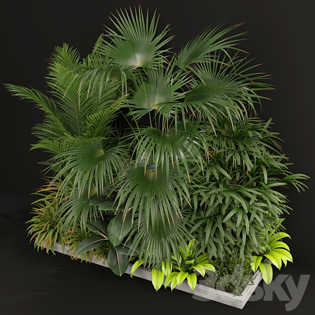 Plants collection 197 3ds Max - thumbnail 2