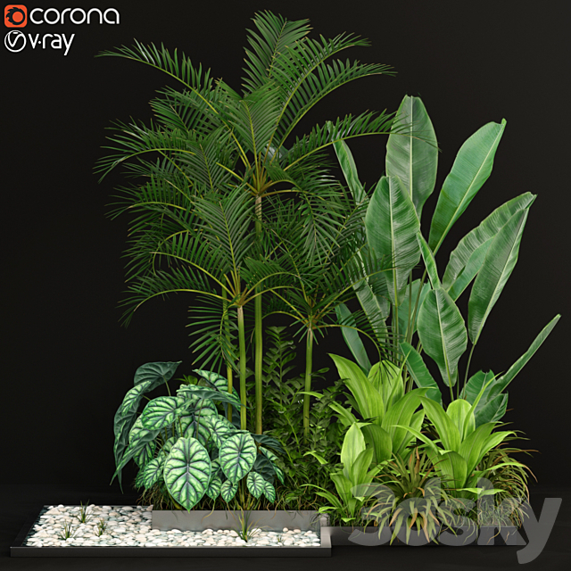 Plants collection 198 3ds Max - thumbnail 1