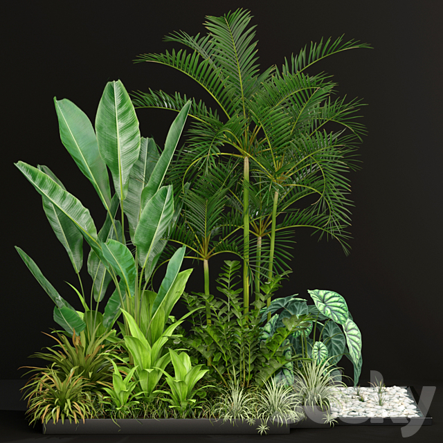 Plants collection 198 3ds Max - thumbnail 2