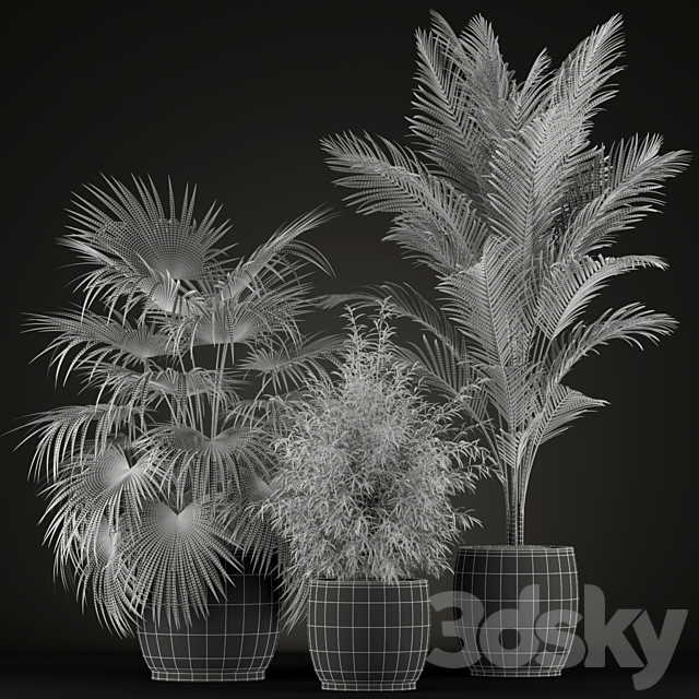 Plants collection 199 3DSMax File - thumbnail 2