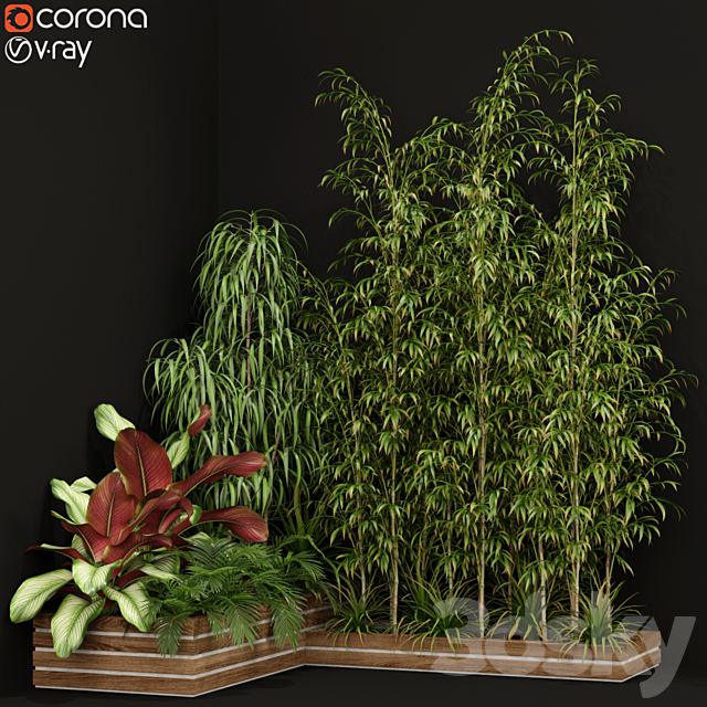 Plants collection 201 3DSMax File - thumbnail 1