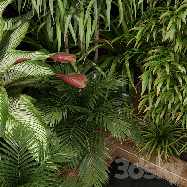 Plants collection 201 3DSMax File - thumbnail 2