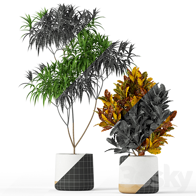 Plants collection 203 3ds Max - thumbnail 3