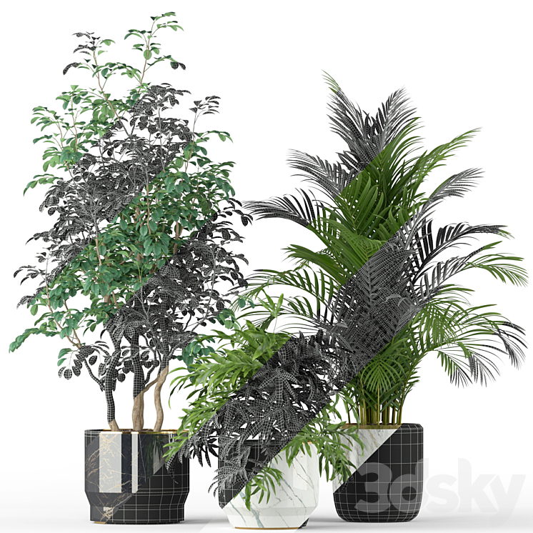 Plants collection 204 3DS Max - thumbnail 2