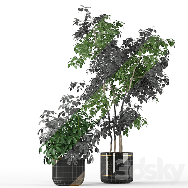 Plants collection 204 3DSMax File - thumbnail 3