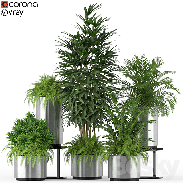 Plants collection 206 3ds Max - thumbnail 1