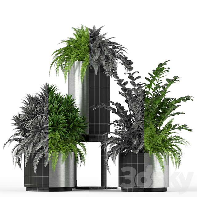 Plants collection 206 3ds Max - thumbnail 2