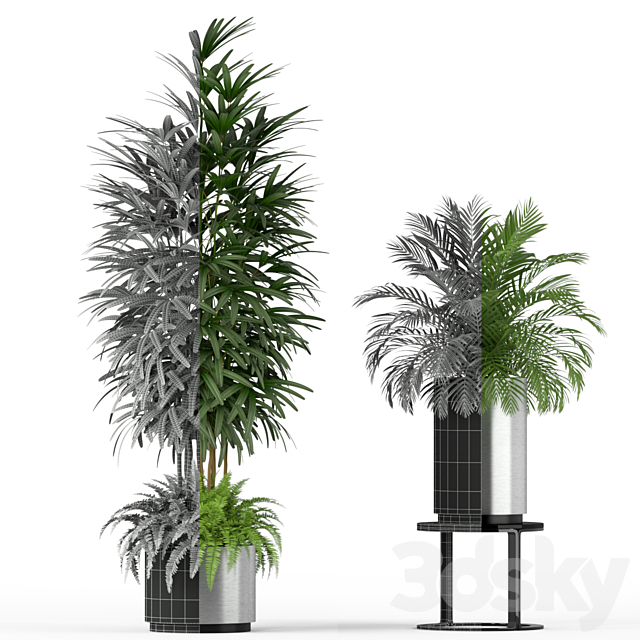 Plants collection 206 3ds Max - thumbnail 3