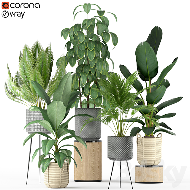 Plants collection 213 3ds Max - thumbnail 1