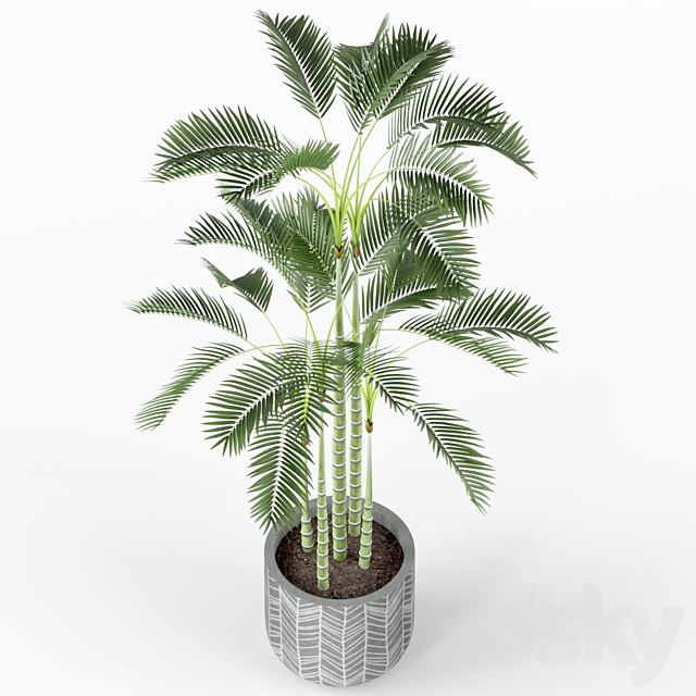 Plants collection 214 3dsMax Model - thumbnail 2