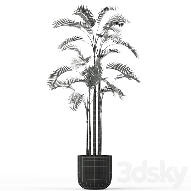 Plants collection 214 3dsMax Model - thumbnail 3