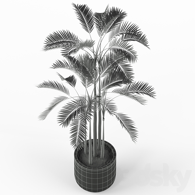 Plants collection 214 3dsMax Model - thumbnail 4