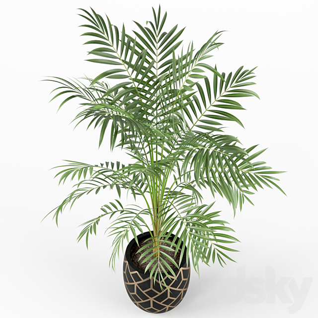 Plants collection 216 3DSMax File - thumbnail 2