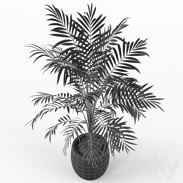 Plants collection 216 3DSMax File - thumbnail 4