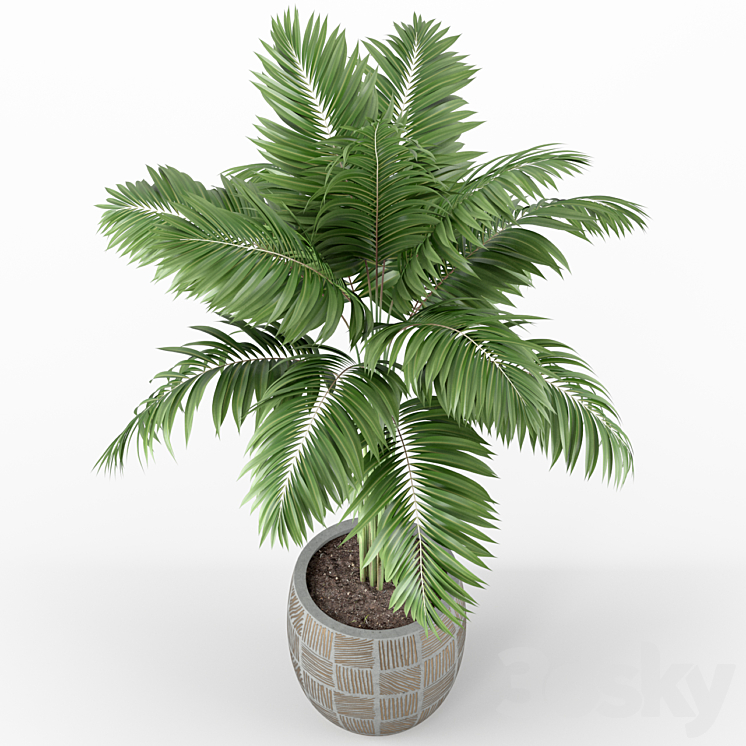 Plants collection 220 3DS Max - thumbnail 2