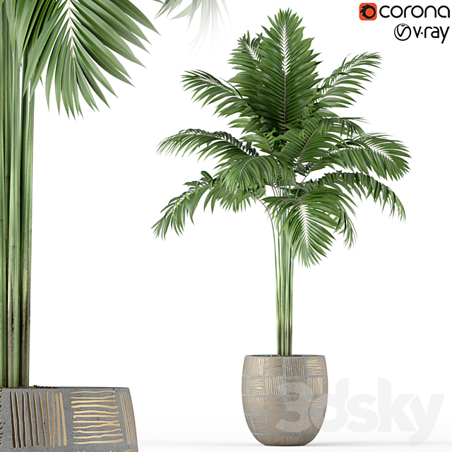 Plants collection 220 3DSMax File - thumbnail 1