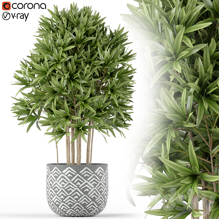 Plants collection 224 3DS Max - thumbnail 1