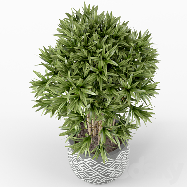 Plants collection 224 3DSMax File - thumbnail 2