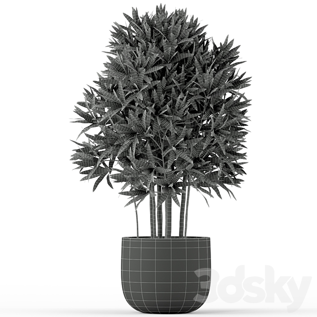 Plants collection 224 3DSMax File - thumbnail 3