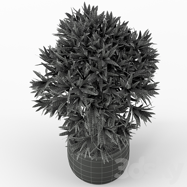 Plants collection 224 3DSMax File - thumbnail 4