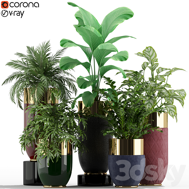 Plants collection 233 Longhi godwin 3ds Max - thumbnail 1