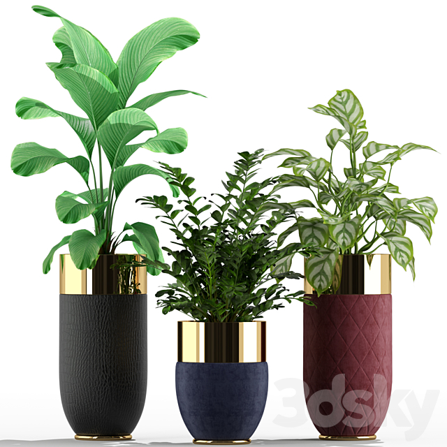 Plants collection 233 Longhi godwin 3ds Max - thumbnail 2