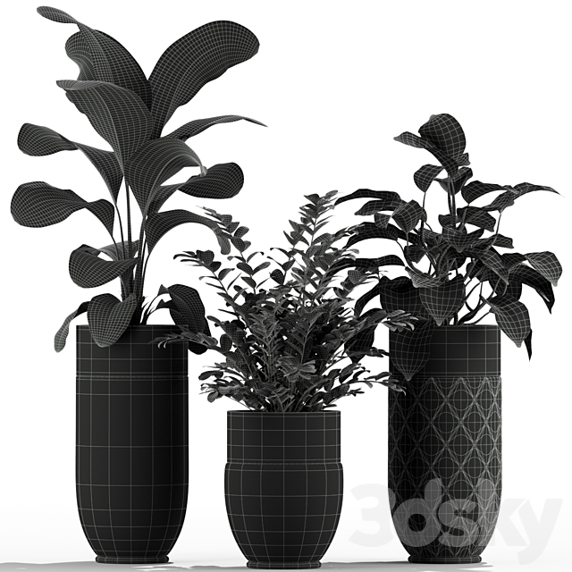 Plants collection 233 Longhi godwin 3ds Max - thumbnail 3