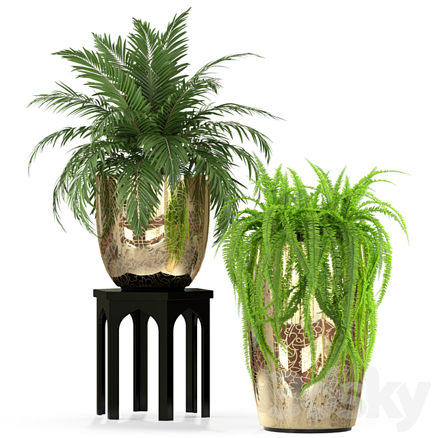 Plants collection 235 3DS Max Model - thumbnail 2