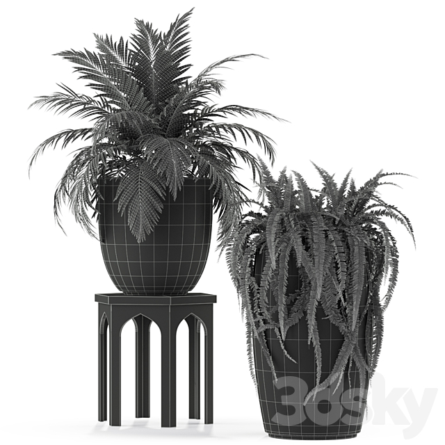 Plants collection 235 3DS Max Model - thumbnail 3