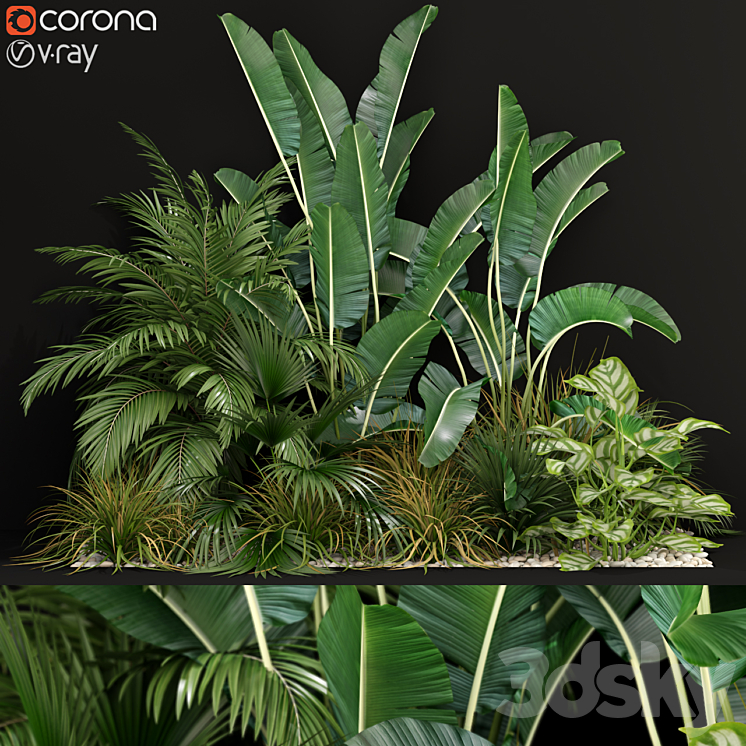 Plants collection 237 3DS Max - thumbnail 1