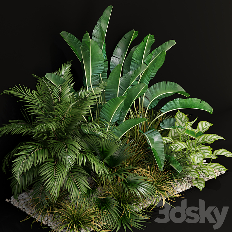 Plants collection 237 3DS Max - thumbnail 2