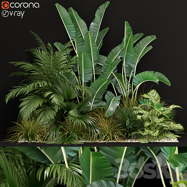 Plants collection 237 3DSMax File - thumbnail 1