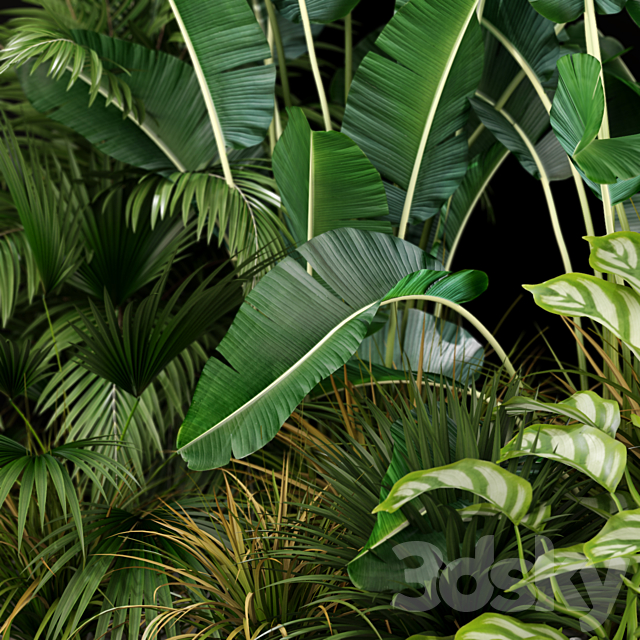 Plants collection 237 3DSMax File - thumbnail 4