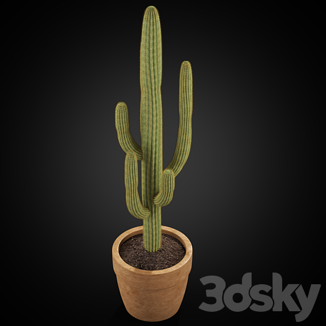 Plants collection 253 3DSMax File - thumbnail 2