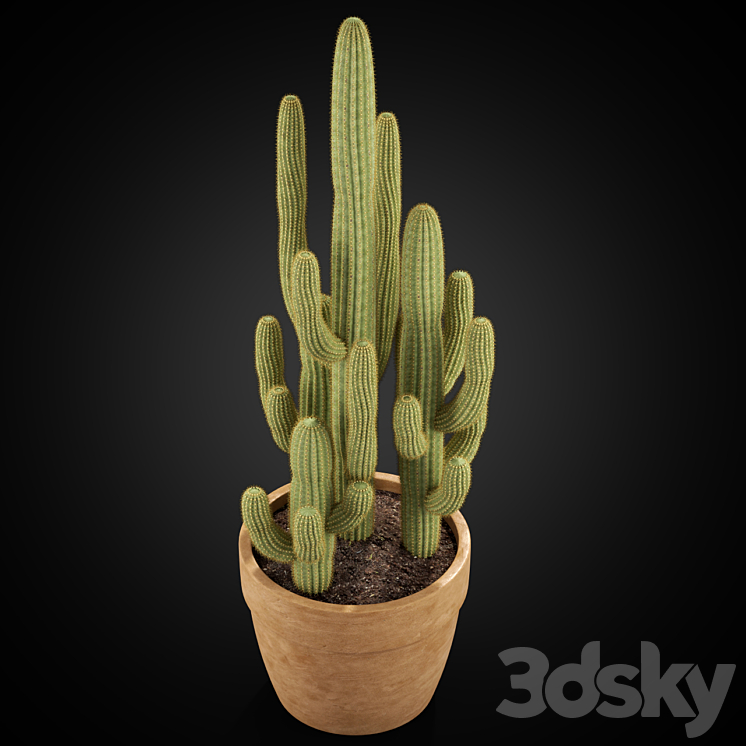 Plants collection 254 3DS Max - thumbnail 2