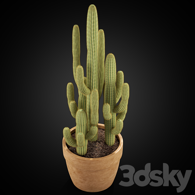 Plants collection 254 3DS Max Model - thumbnail 2