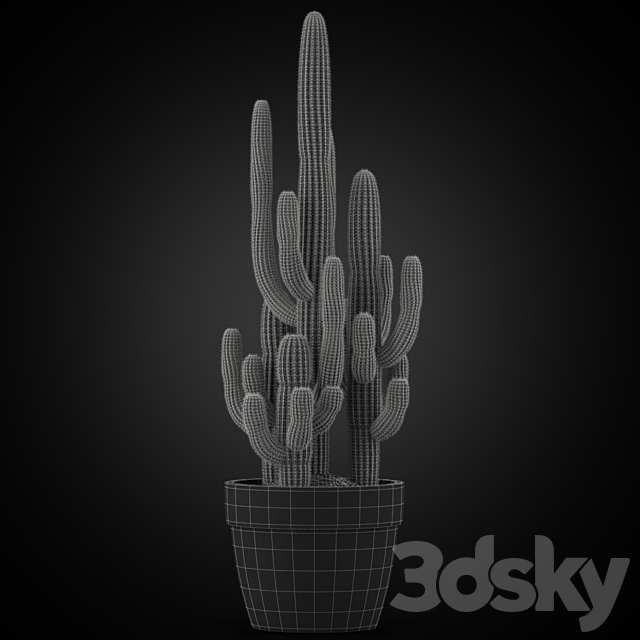 Plants collection 254 3DS Max Model - thumbnail 3