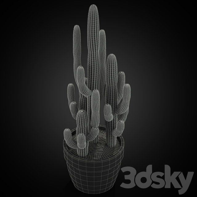 Plants collection 254 3DS Max Model - thumbnail 4