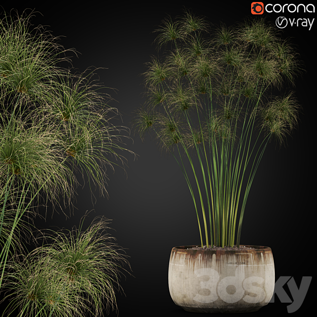 Plants collection 257 3DSMax File - thumbnail 1