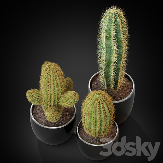 Plants collection 258 3DS Max Model - thumbnail 2