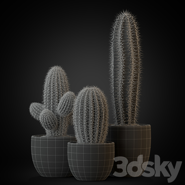 Plants collection 258 3DS Max Model - thumbnail 3